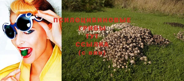 стаф Навашино