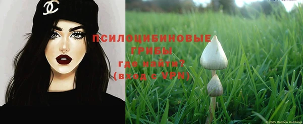 стаф Навашино