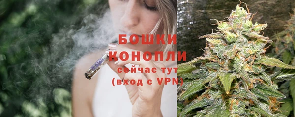 стаф Навашино